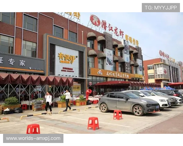 澳门新京旗舰厅官方地址官方公告，获取最新官方网址及相关服务支持信息