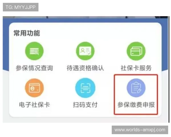 全面解析赛马会网站app的功能特色与使用技巧,提升您的投注体验与中奖几率